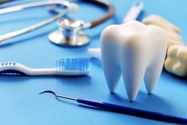 Our Range of Dental Services in El Portal, FL